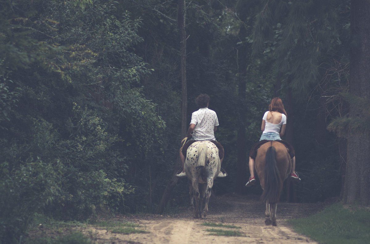 Desconectate del stress, conectate con la naturaleza. Vení a cabalgar en la Reserva de Puertos  #ViviPuertos