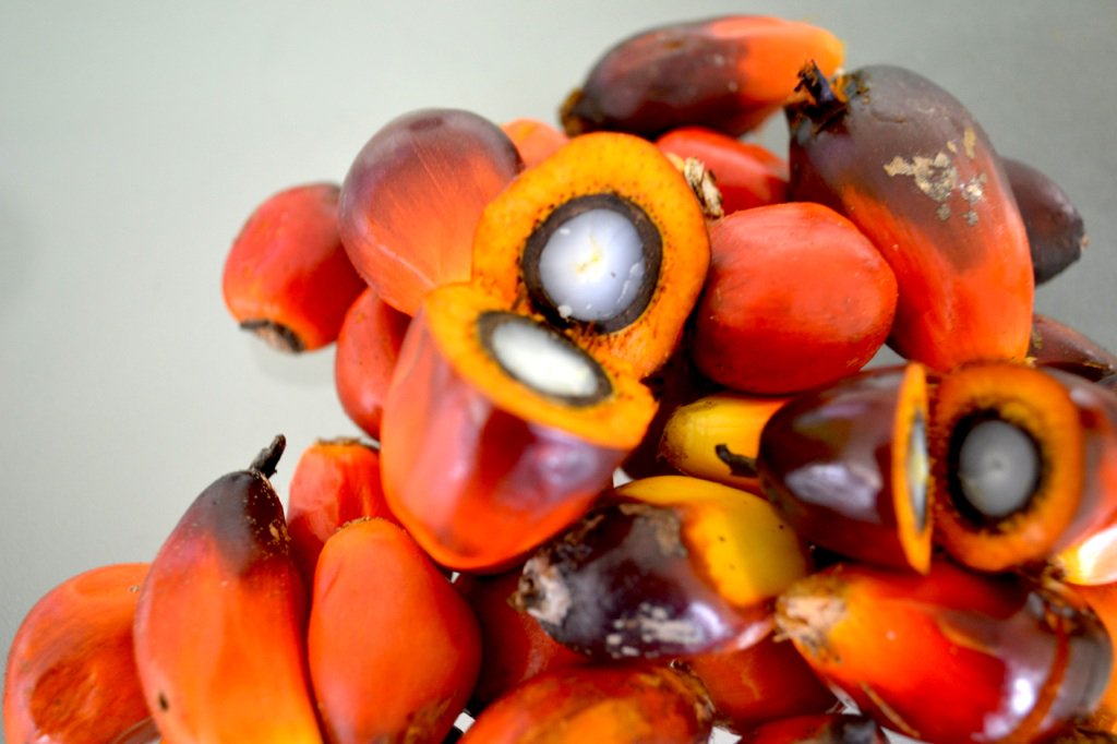 SCADePSL's tweet photo. #SCADeP will support farmers improve productivity on four value chains, rice, cocoa, oil palm and paultry https://t.co/glMjk7V3ZN