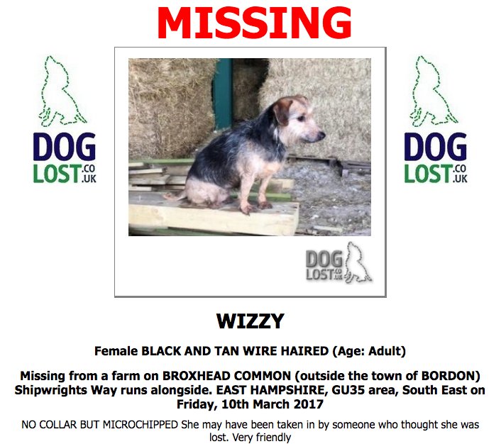 SarahP2311's tweet photo. #LOST WIZZY Female Black & Tan #Dog #BroxheadCommon #Bordon #GU35 #Lostdoog #ScanMe https://t.co/ujDKCMEJkq https://t.co/ov4tbzsWal