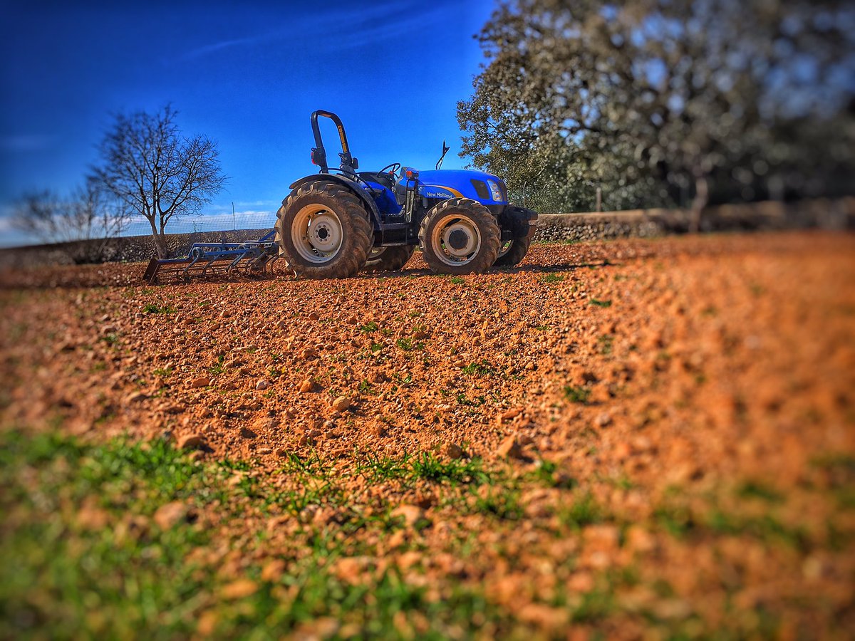 AAgromax's tweet photo. #newholland #newhollandagriculture https://t.co/dARSV41pvG