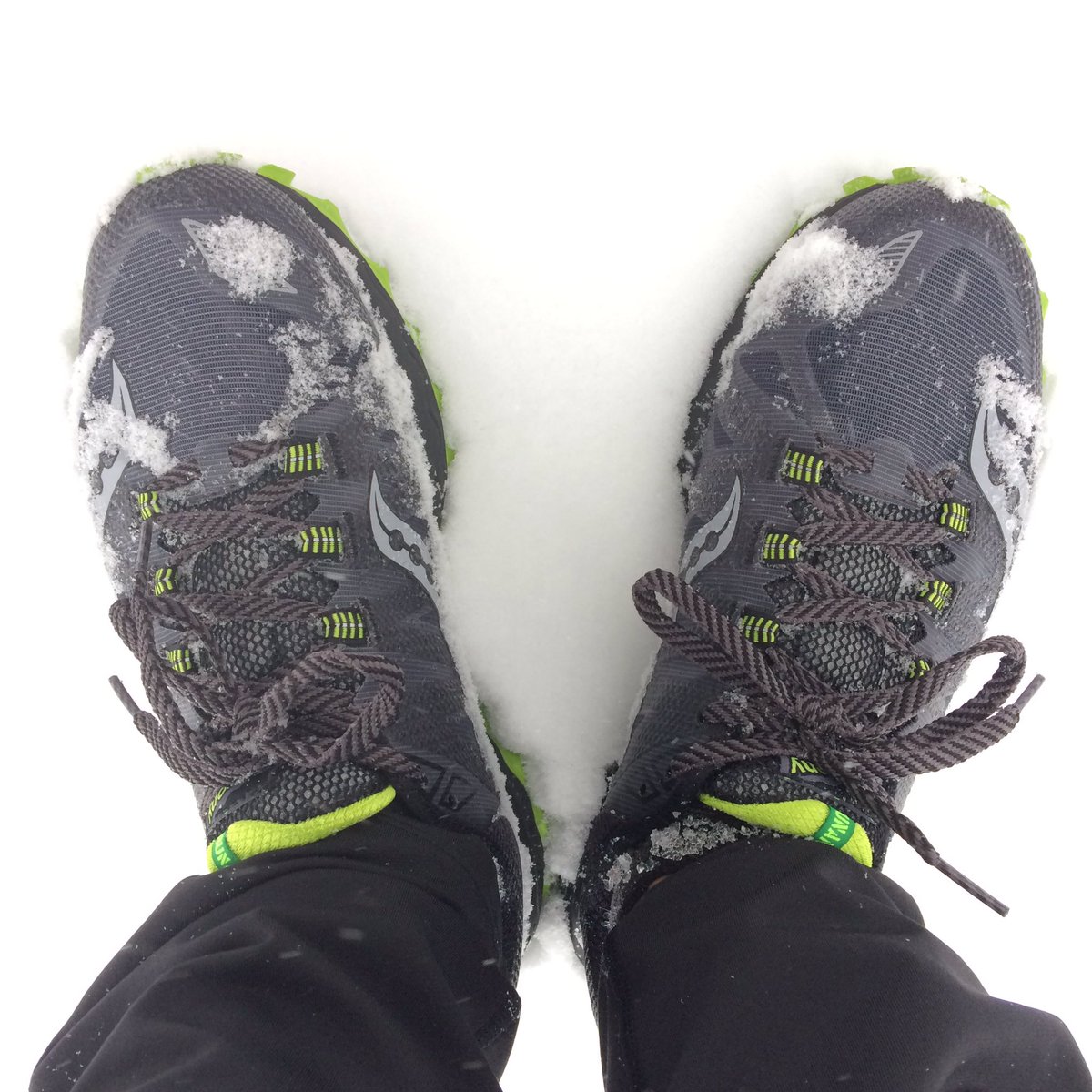 Oblinkin's tweet photo. Making tracks. #blizzardrun https://t.co/sCzMy5IQ2Q