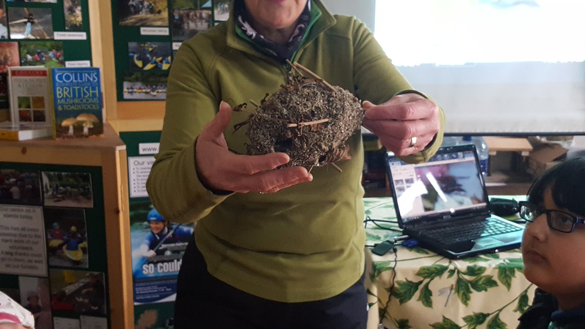 Mrs Bance tweet media