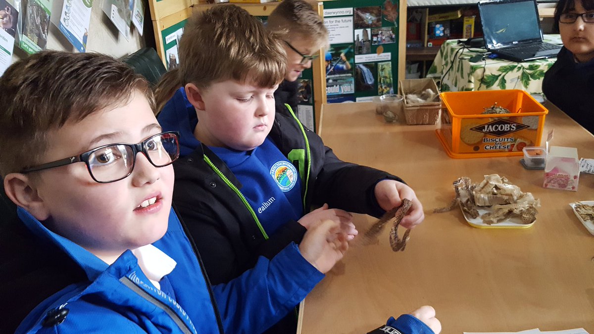 Mrs Bance tweet media