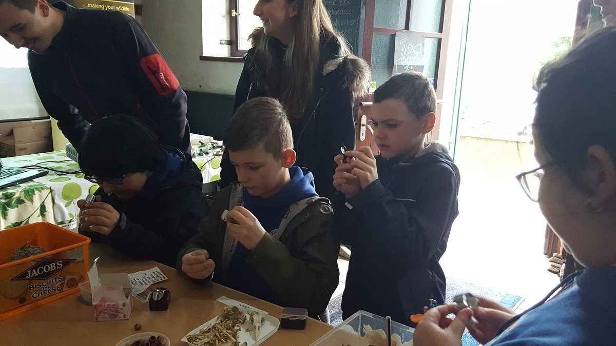 Mrs Bance tweet media