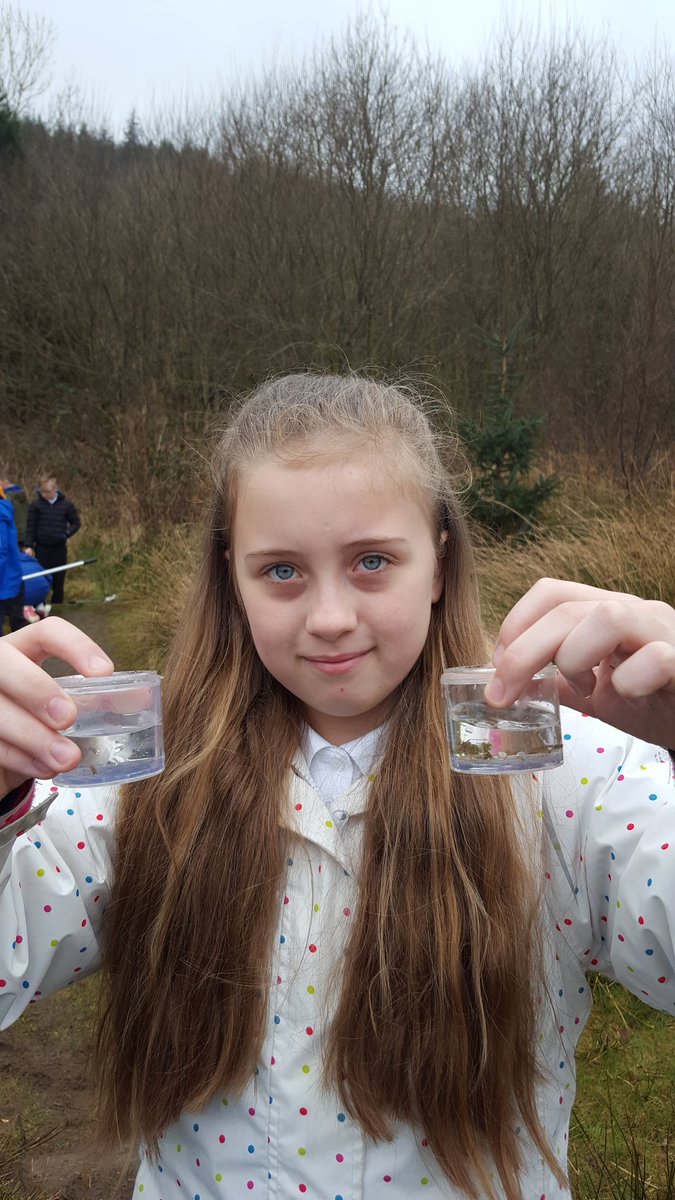 Mrs Bance tweet media