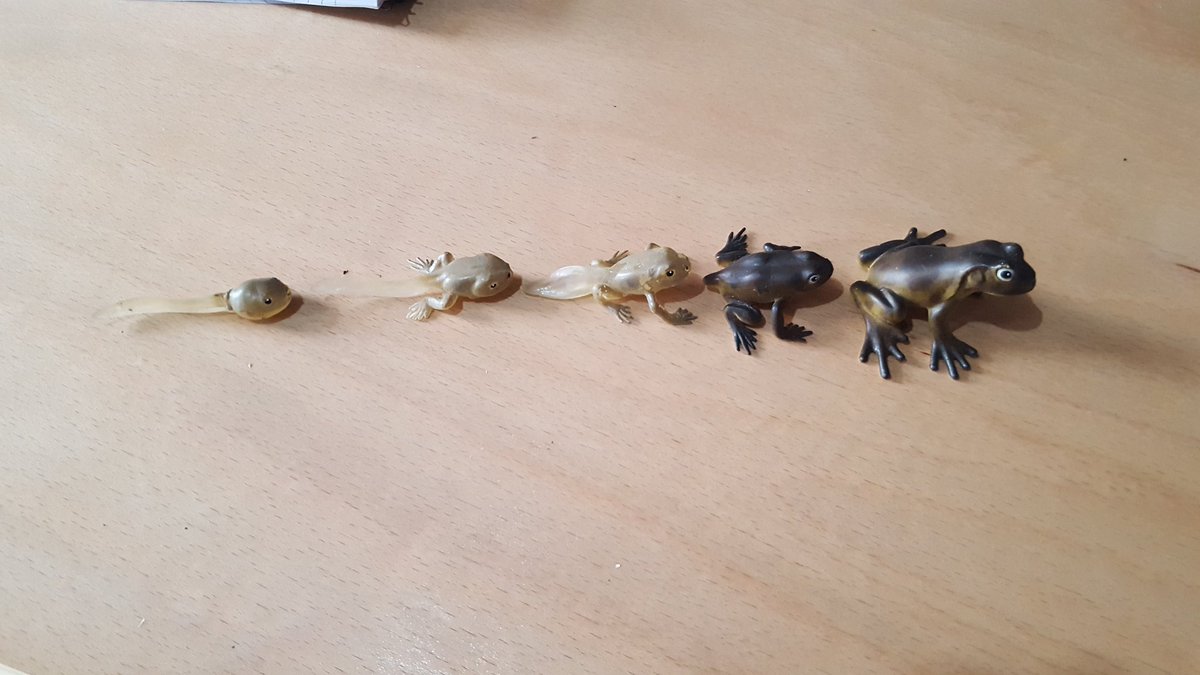 Mrs Bance tweet media