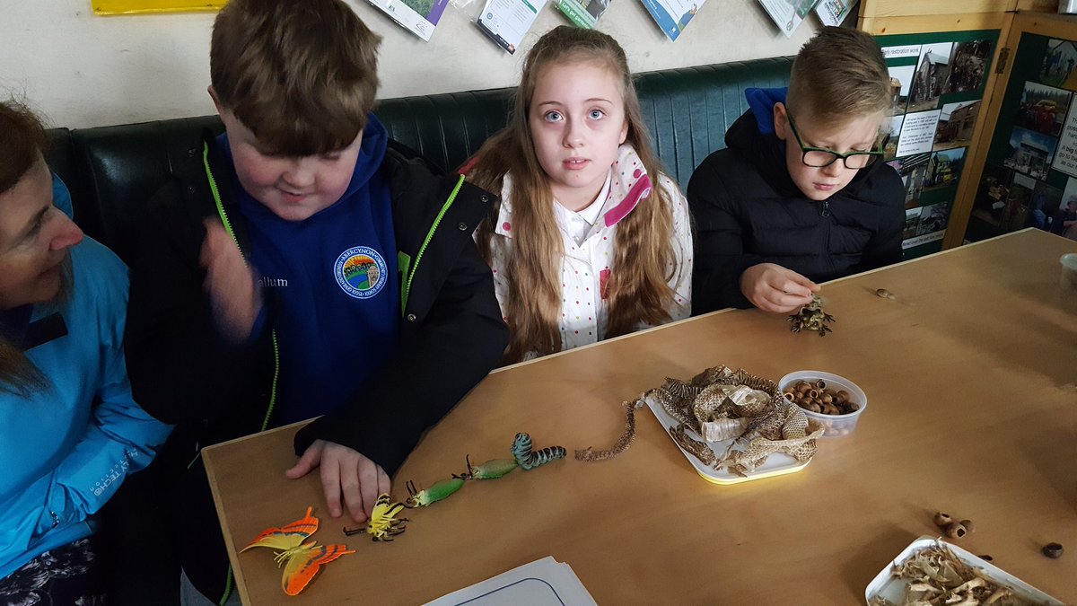 Mrs Bance tweet media