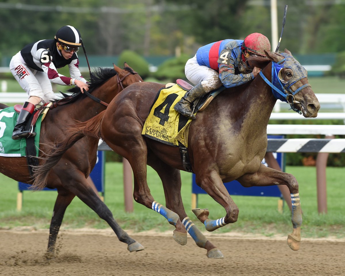 keenelandsales's tweet photo. 8 of the top 10 on the #KyDerby Leaderboard are graduates of @keenelandsales, including leader GUNNEVERA! https://t.co/MvYHDB51LS https://t.co/Ox6Zsw3MWE