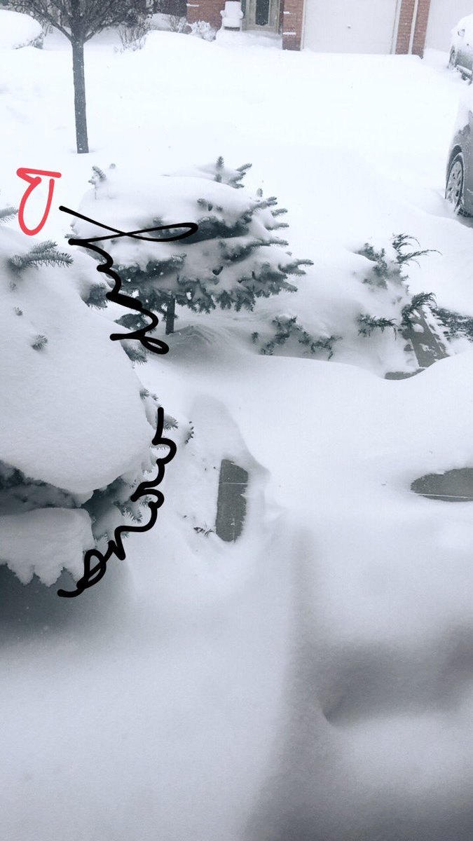 ElitePlanning_'s tweet photo. This is the worlds way of telling me I need a day off. https://t.co/wrinRjT3vb