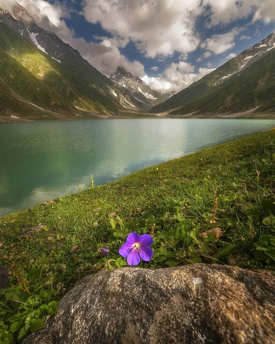 Pakistan_Pics's tweet photo. Lake Saif ul Malook - Naran. 

.
Photo - omergul 
.
.

#PakistanPics #beautifulpakistan 
@earthpix @earthseattle @earth @natgeo https://t.co/KPsf01Xn2r