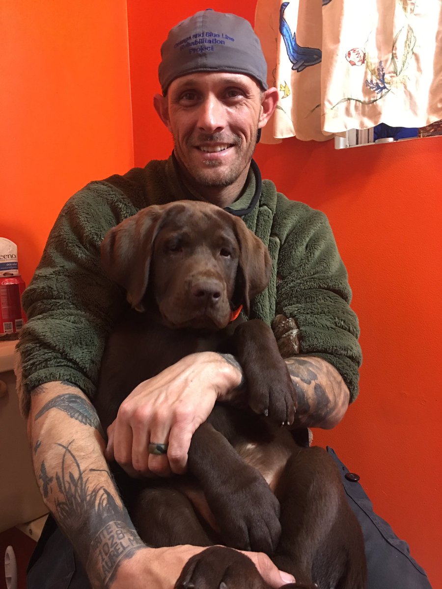 KPIvyJr's tweet photo. Look at this big boy. 41 pounds 15 weeks. #browning is gonna be an awesome bird dog. And he is super cute lol https://t.co/dxYuAhvrZ4