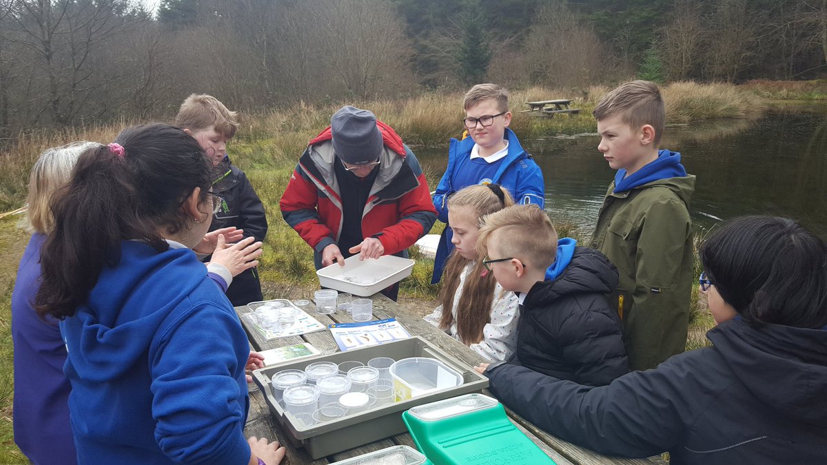 Mrs Bance tweet media