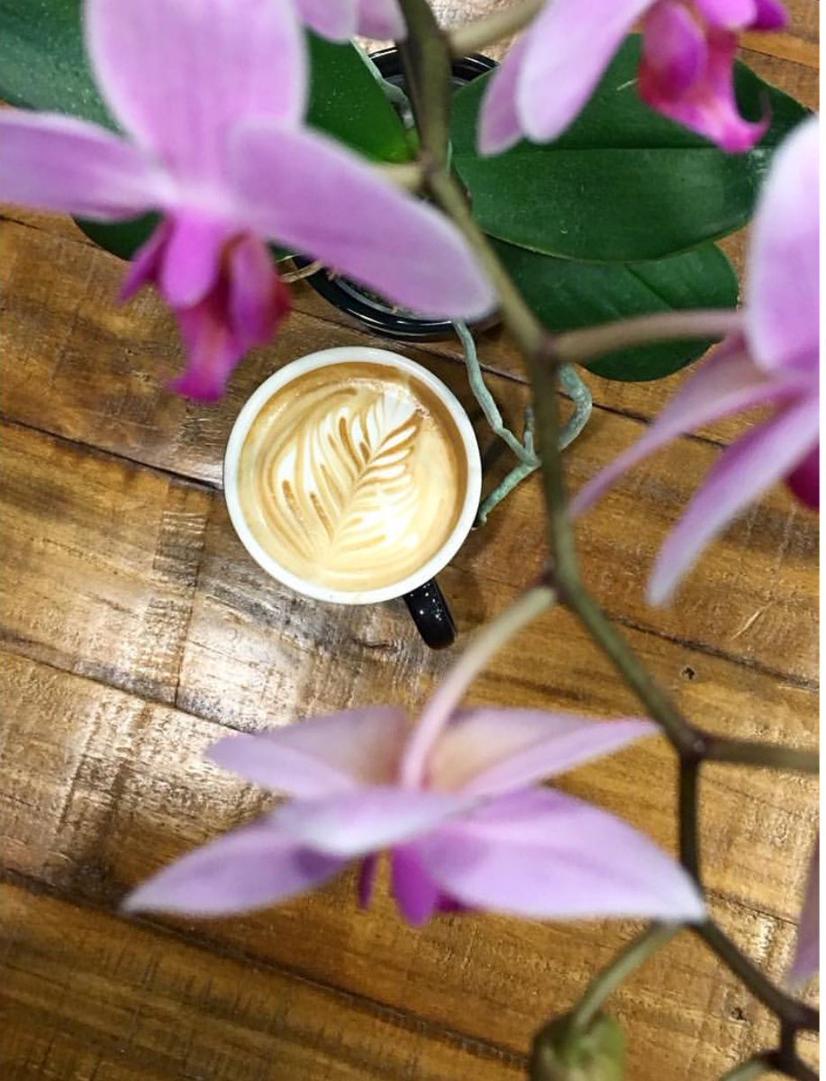 Looking to brighten up this rainy day? We got you covered!

📸 @grandma_kel