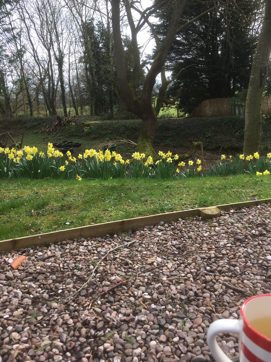 Selectphysio's tweet photo. #lunchtime break, ginger tea and 10 minutes. peace and quiet here at #Selectphysio. https://t.co/Eaa1a3IDSD