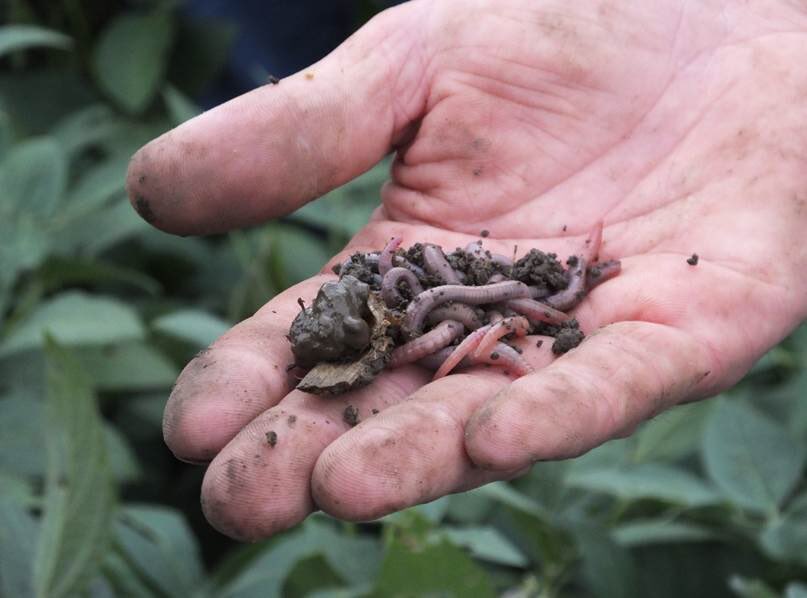 Natural Resources Conservation Service tweet media