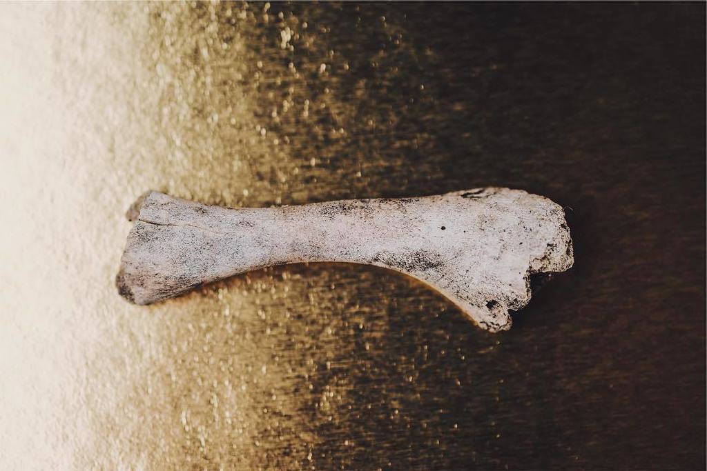 langstonphotog's tweet image. Second in my series of things I found on my patio.
#thingsifoundonmypatio #mobileworkflow… ift.tt/2n5BuBf