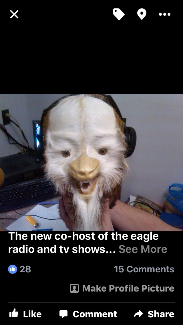 The co host of listen to the eagle live call in radio show-"Wooliebuger" What is he?