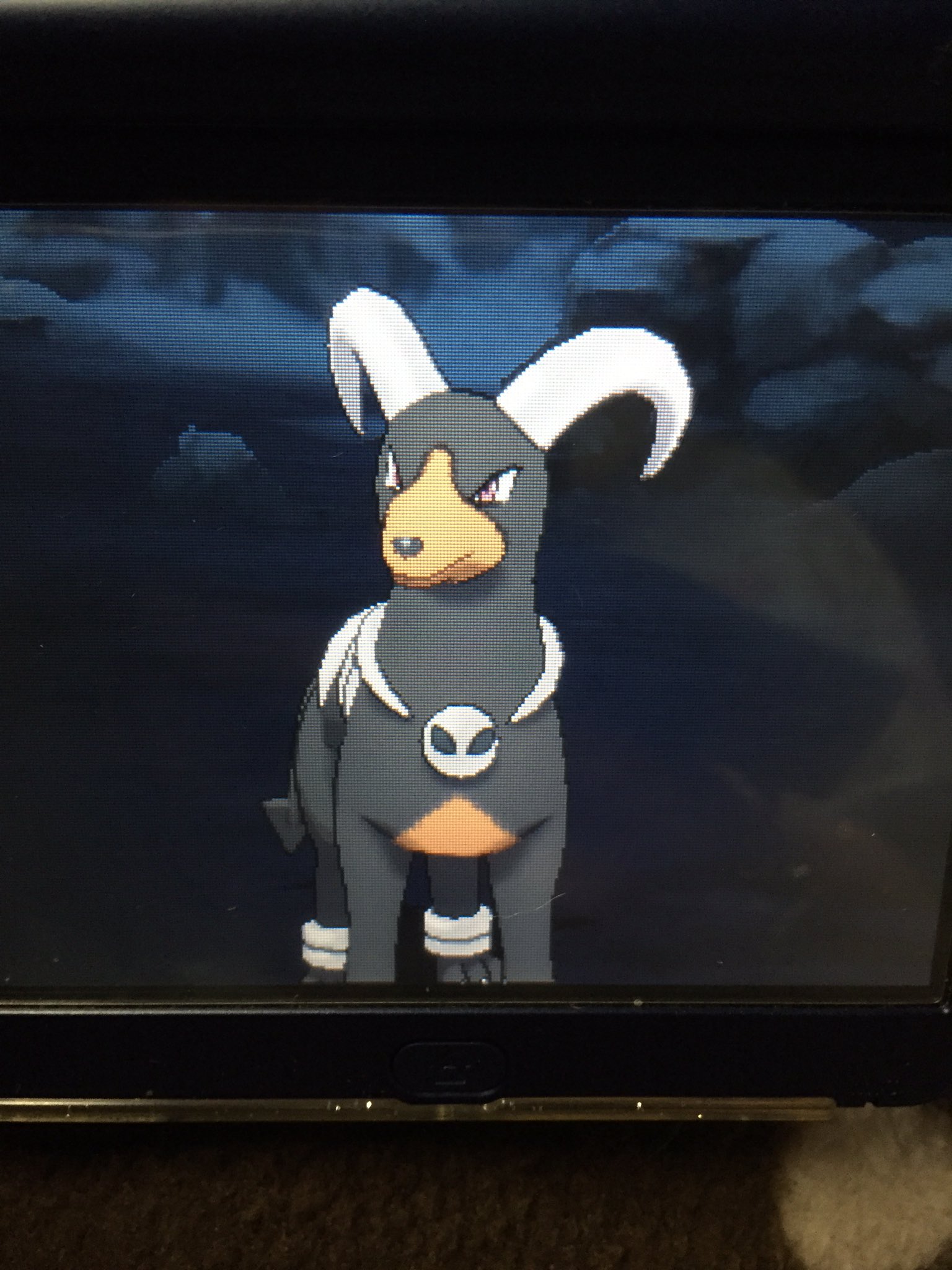 へるがー Ryota Moon 0623 そうですね やっぱり初殿堂入りは好きなポケモンとしたくて 育ててた デルビル 昨日ヘルガーに進化しました すごくかわいいです O O まだレベル台ですが四天王挑戦できるまで育てます 赤い糸頑張って探します 笑