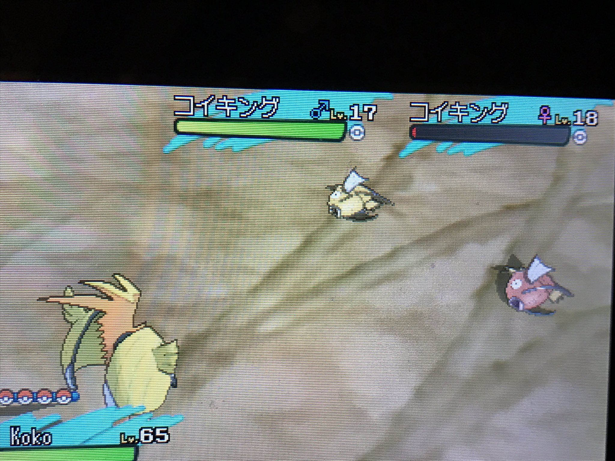 みー ポケモン色違い収集 コイキング 21で出ました 早すぎて通常特性 3v 最短記録 ちなみにオハナタウン ポケモンsm ポケモン色違い 助けを呼ぶ連鎖 コイキング色違い T Co Evjw3bl0ur Twitter