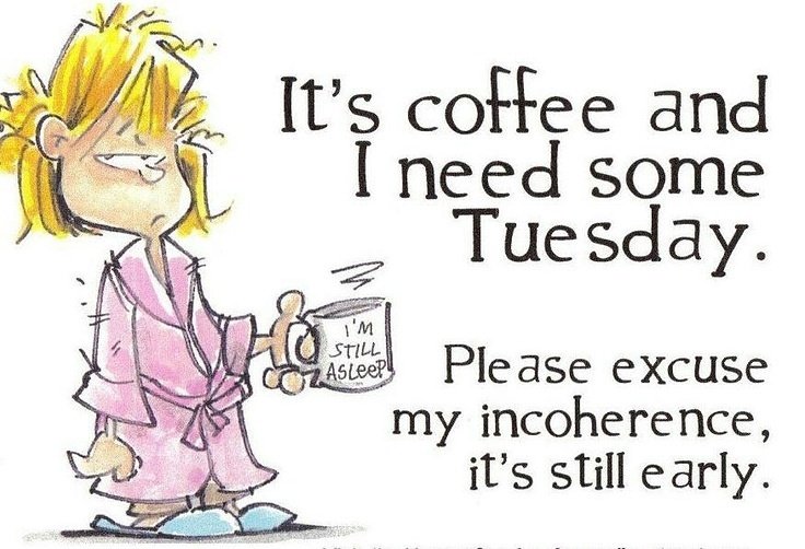 AngelaSchmidt1's tweet photo. We woke up super late this morning, and somehow got all three kiddos where they need to be on time!  

#stayathomemom #coffeetime https://t.co/7I2MCA46az
