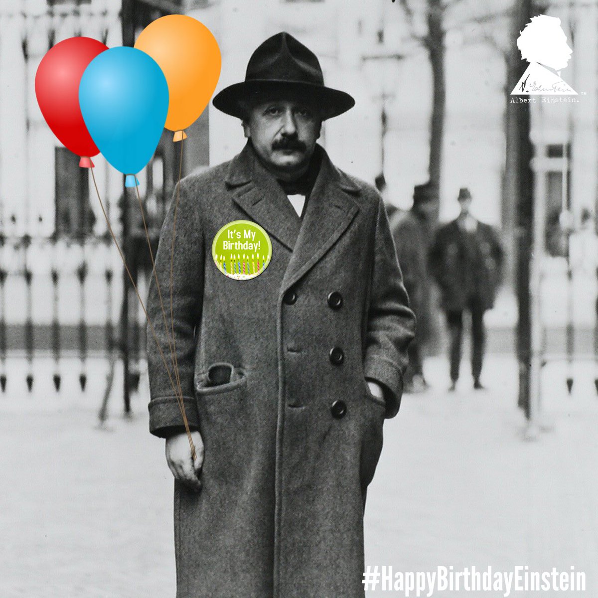 The birthday boy. #HappyBirthdayEinstein