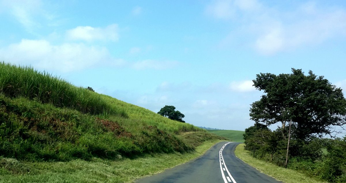 NTDesignBox's tweet image. Getting  some creative juices from nature