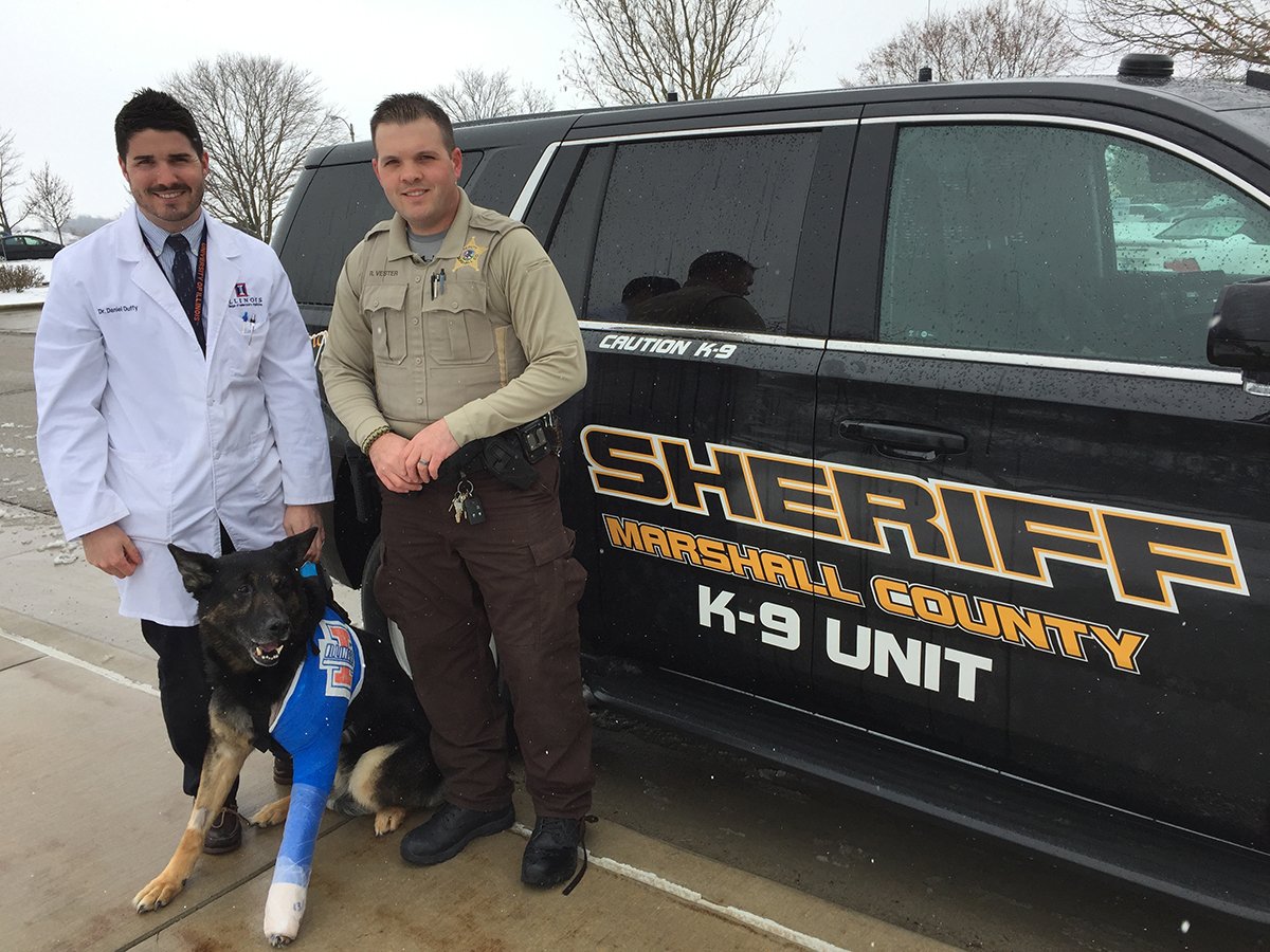 illinoisvethosp's tweet photo. #GermanShepherd #policedog Flits saved from amputation after a severe elbow injury on the job https://t.co/5hCFHw7mYf #ILLINOIS #vetmed https://t.co/18or34fEay
