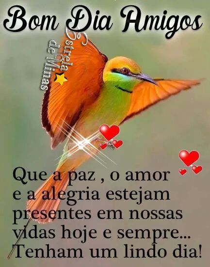 ItielNeves's tweet photo. https://t.co/OVlhnhULrl