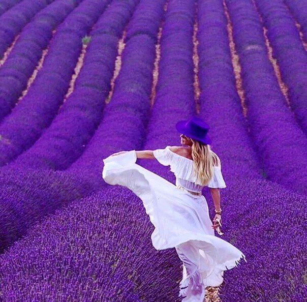 staiserenoblog's tweet photo. @MarcelaMacias_ https://t.co/h8SYJdOEwY