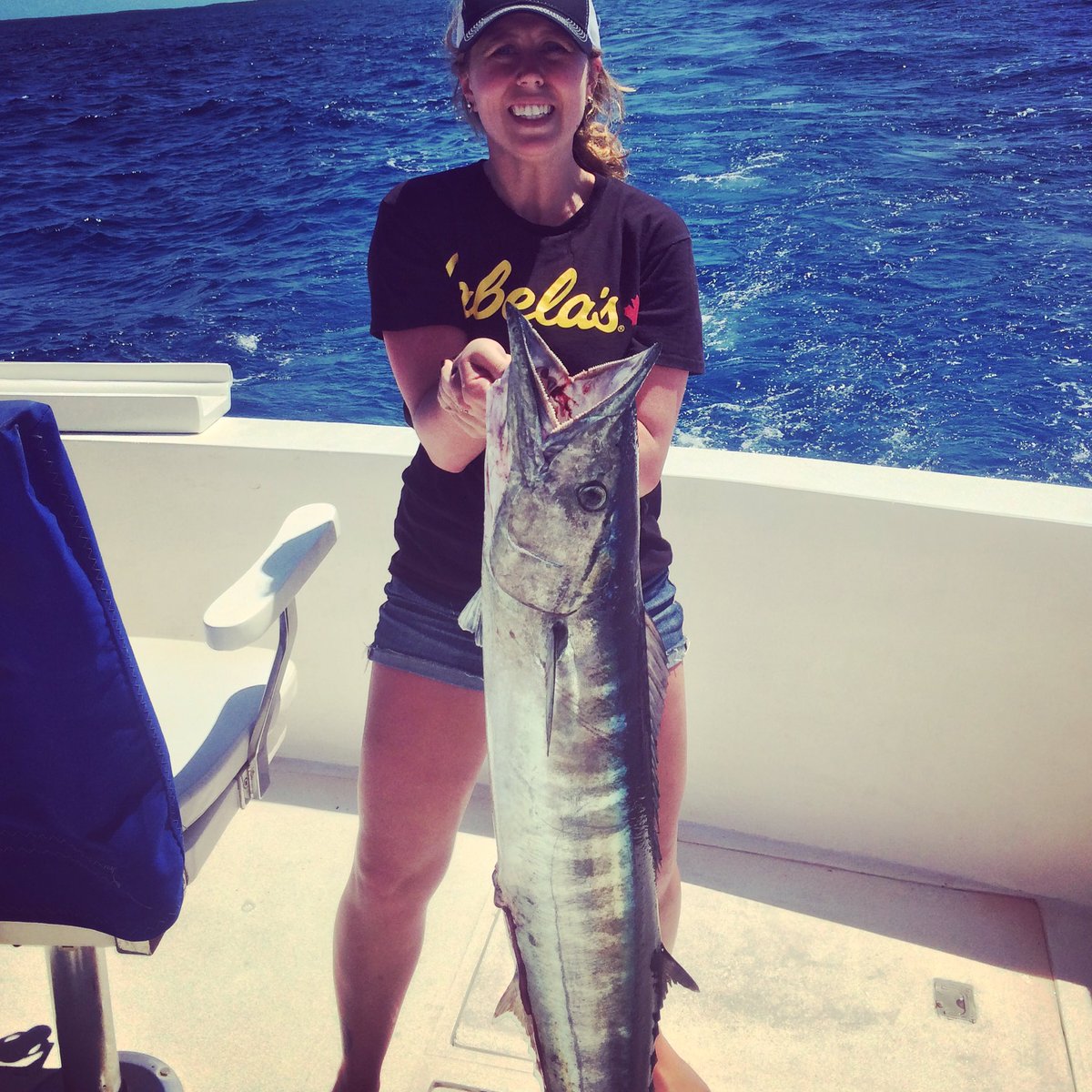 cara carmichael tweet media