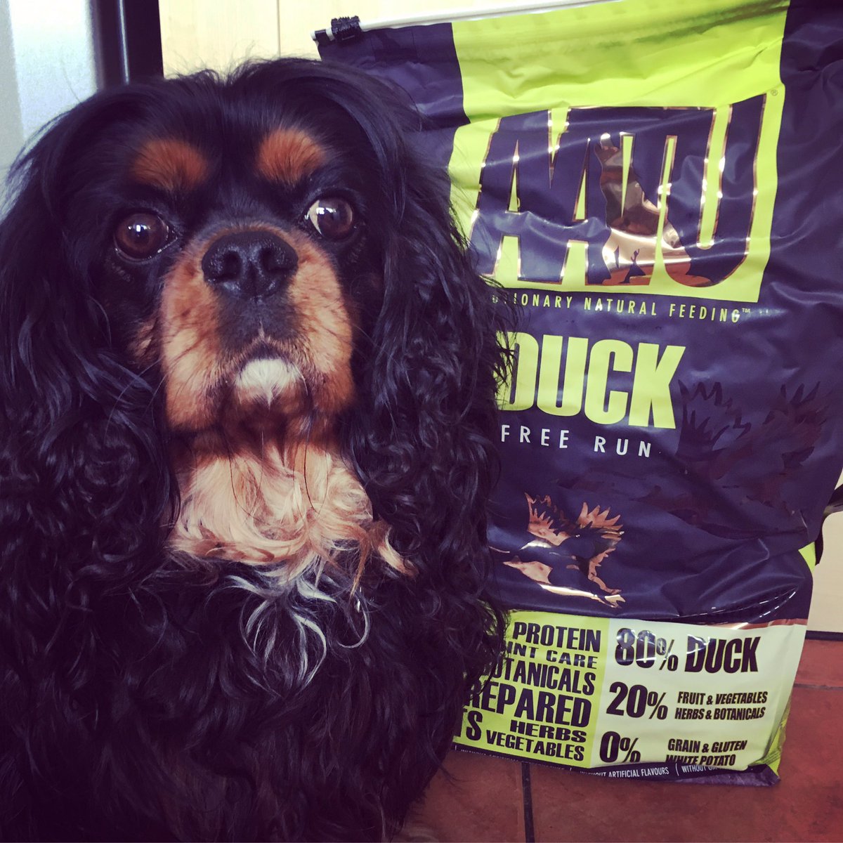@AATU_1 food delivery day for Arthur !