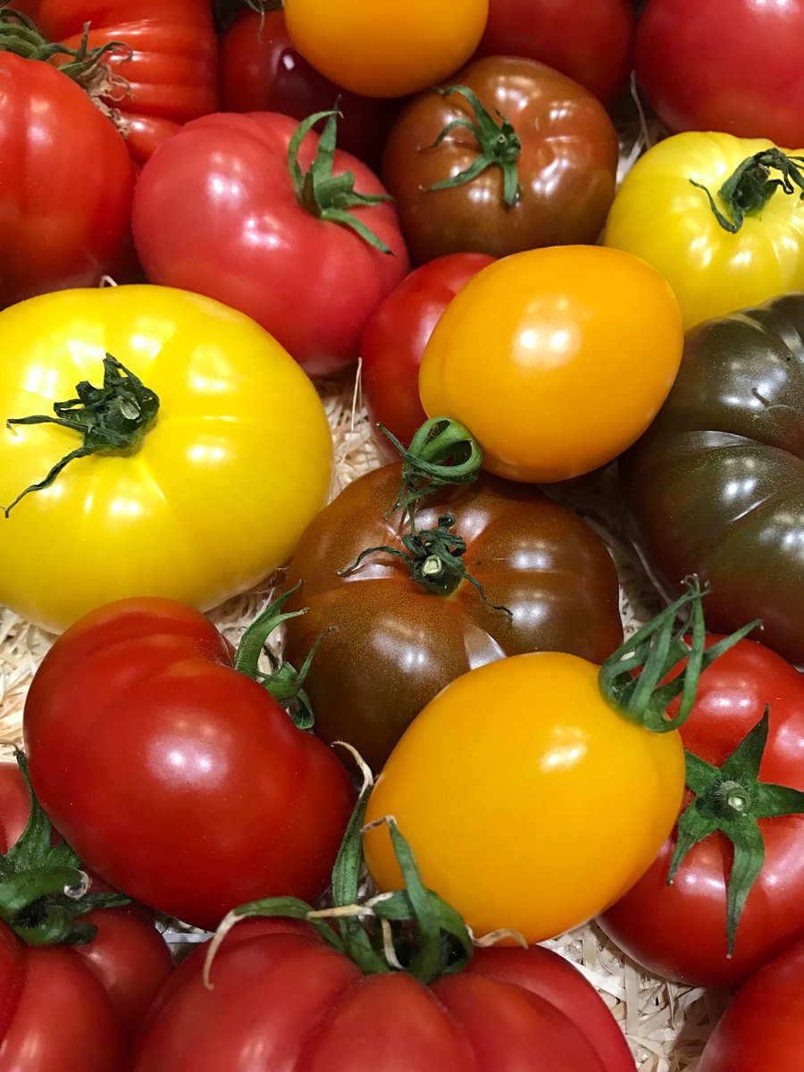 A glorious variety of tomatoes from #rungis this evening! @oakleafeuropean