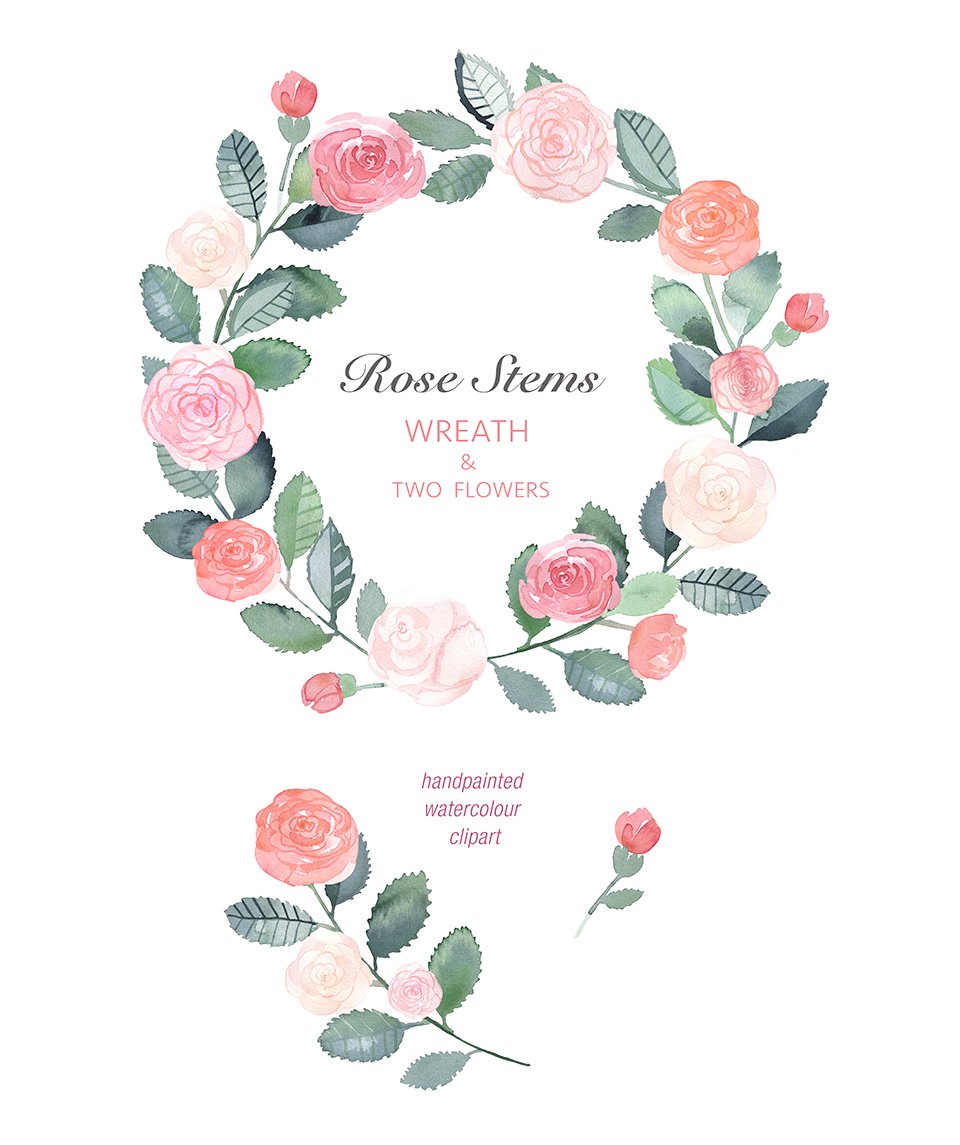 papersundesign's tweet photo. Rose Stems - PaperSunDesign https://t.co/VXuYCwcvdM #roseswreath #rosesclipart #watercolorclipart #DIYwedding #handpainted #weddinggraphics https://t.co/Dx2MG6ZEzr