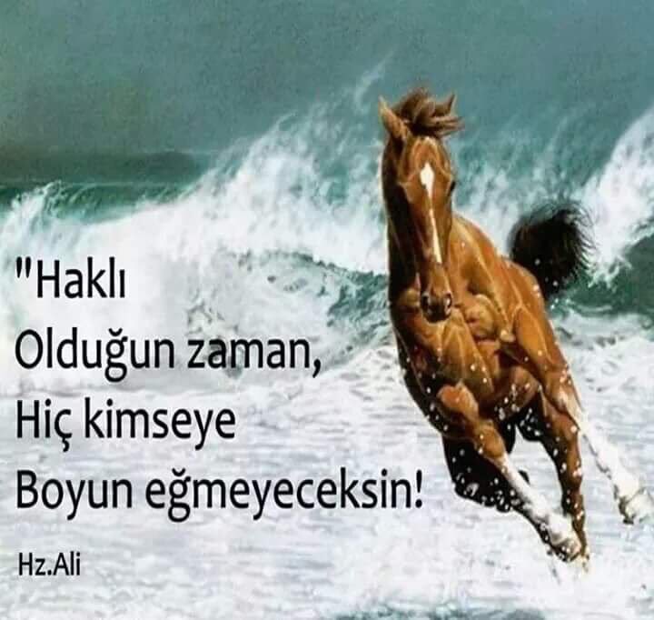 KHK'lı BoyunEğmeyecek>>