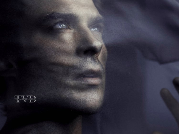 stellarflower19's tweet photo. Wow Ian's pics turned out SO good πππ @iansomerhalder #Season5Promo https://t.co/7cKoODRmQB