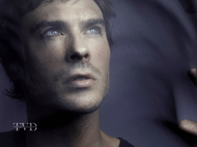 stellarflower19's tweet photo. Wow Ian's pics turned out SO good πππ @iansomerhalder #Season5Promo https://t.co/7cKoODRmQB