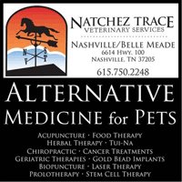 NatchezVet's tweet photo. #DogACL Injury? 5 Things You Need to Know! https://t.co/l3jHQDfeAC https://t.co/1OgMb5AAZC