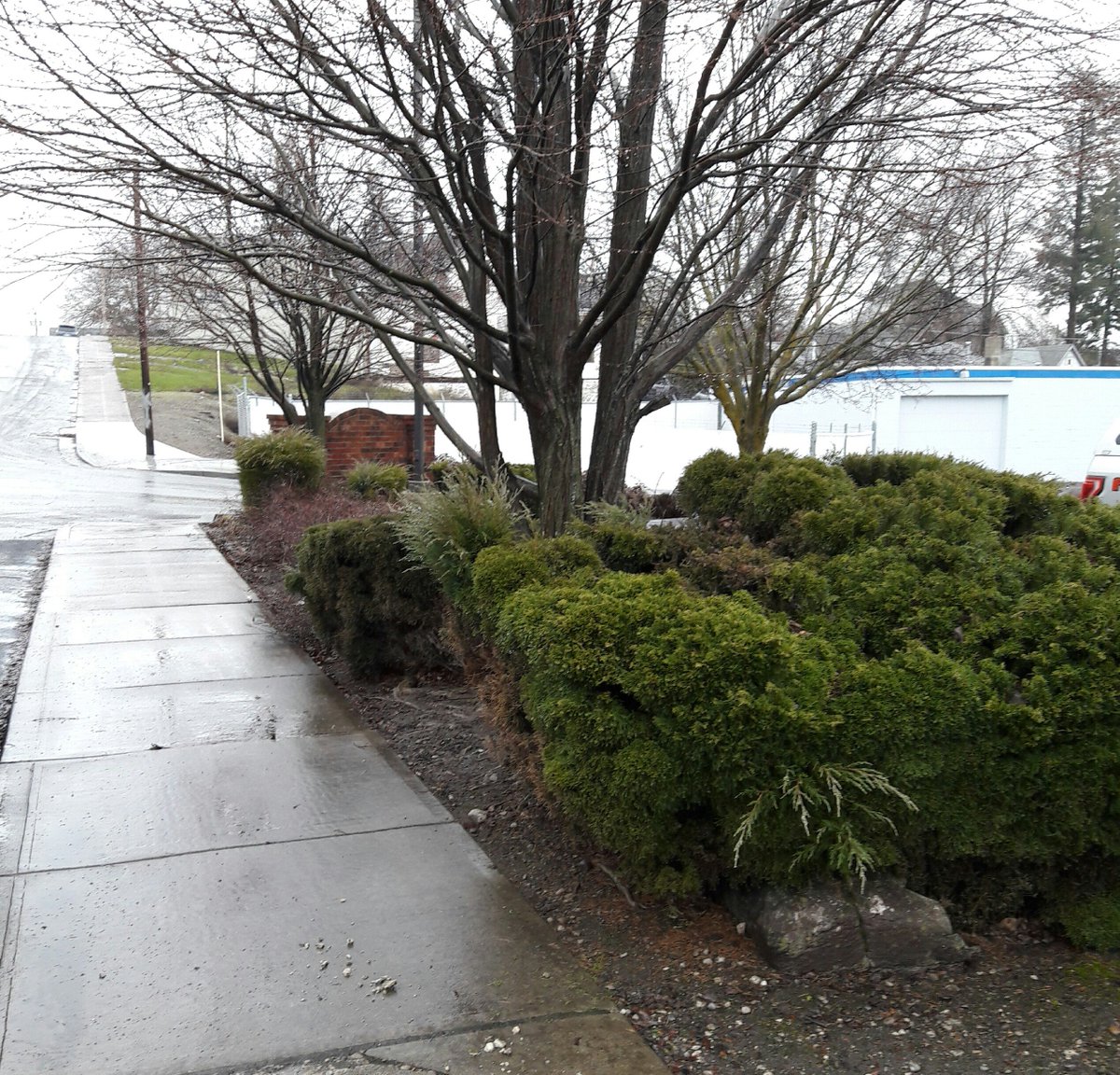 DesignerDecal's tweet photo. The snow is melted...and now we have flood warnings in effect until Thursday. Seems like a good day for a warm cup of coffee! #designerdecal https://t.co/AauoVL2oQ9
