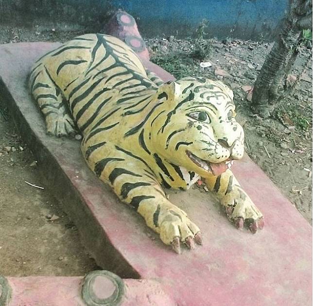 Download 9800 Gambar Harimau Lucu Bergerak Paling Baru Gratis HD