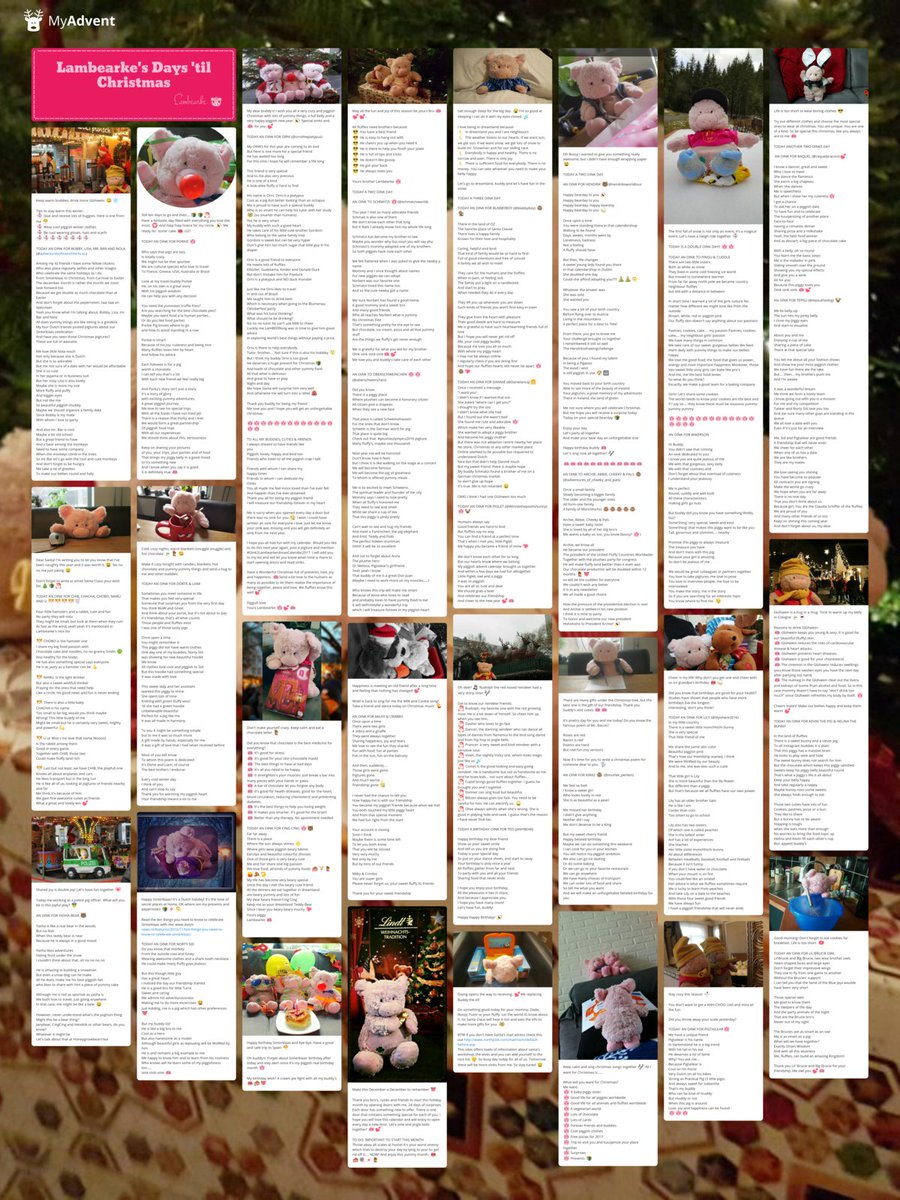 MyAdvent tweet media