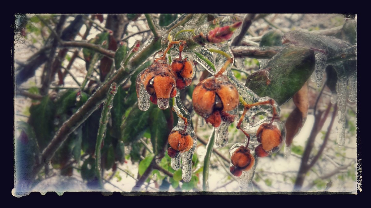 TheDavidRees's tweet photo. Today's weather in #Baltimore. Photo by me, stylin' by @googlephotos. https://t.co/U3HA6uZVzI