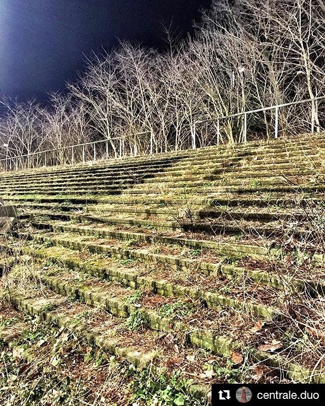 the92dotnet's tweet image. #REPOSTALERT @centrale.duo has this cracker for #terracetuesday, straight out of the Dutch… ift.tt/2nk4i9J