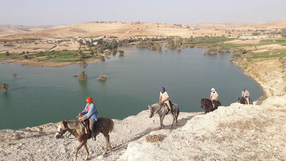 ZouinaCheval's tweet photo. Pour les ponts du mois de mai et la période estivale, rejoignez nous pour une #randonneeequestre au Maroc : https://t.co/qE3dg4Xagp https://t.co/UKvngFTR0G