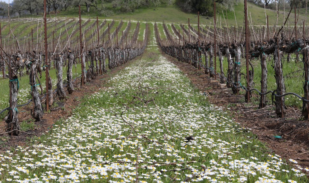 jordanwinery's tweet photo. "To travel is to live." - Hans Christian Anderson. #traveltuesday https://t.co/T8nUVcjnba