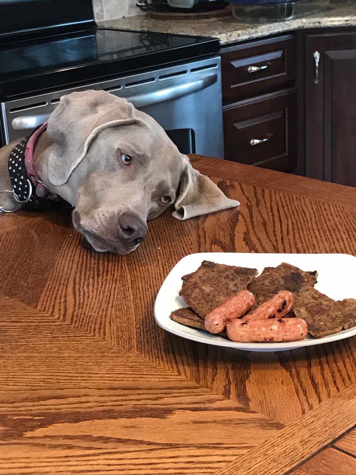 Riley The Rescue tweet media