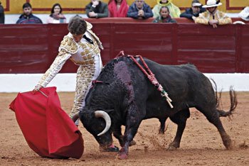Ginés Marín: “Miedo al fracaso, miedo al toro, miedo a uno mismo... Tengo miedo a no llegar a ser figura del toreo" aplausos.es/noticia/38214/…