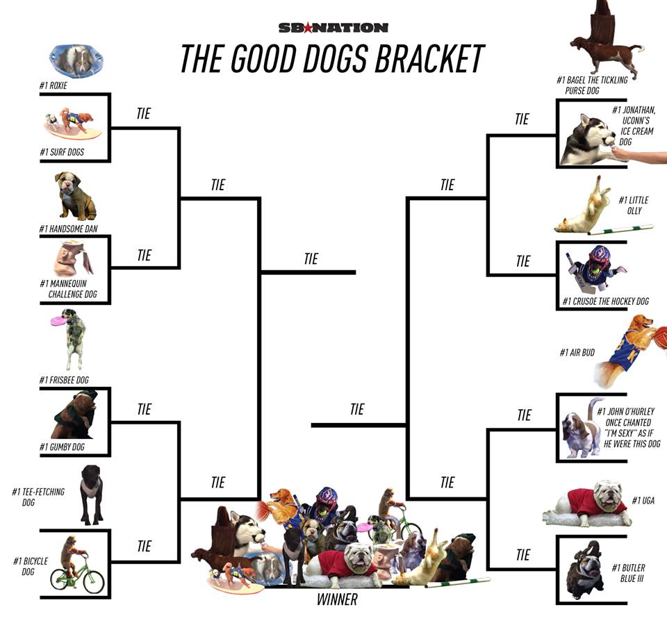 SB Nation on Twitter: "The only good bracket:…