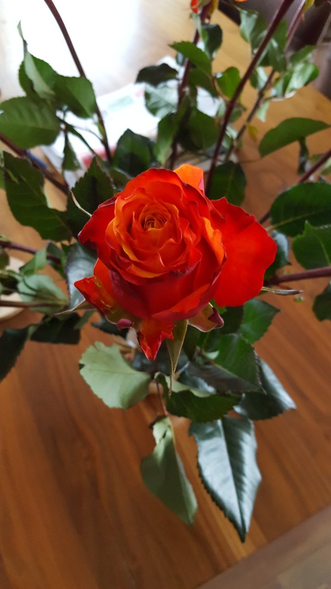 Morgen een gezellige dag, stem met je hart en verstand.