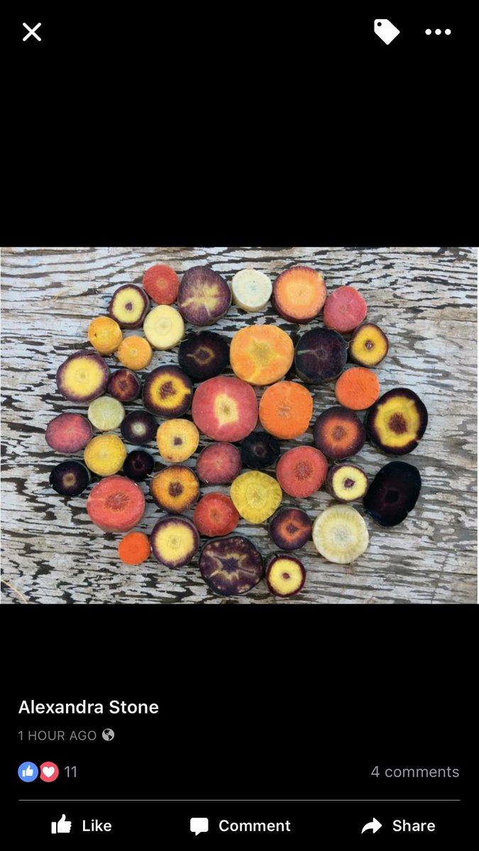 GENetwork tweet media