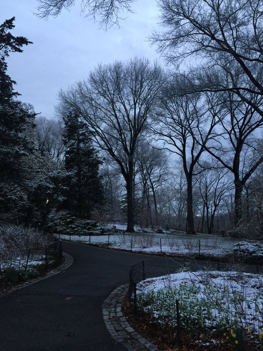 nursemilomsnrn's tweet photo. Central Park | ❄️ https://t.co/lFshOwzHx3